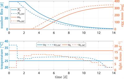 Model-based process optimization of black soldier fly egg production